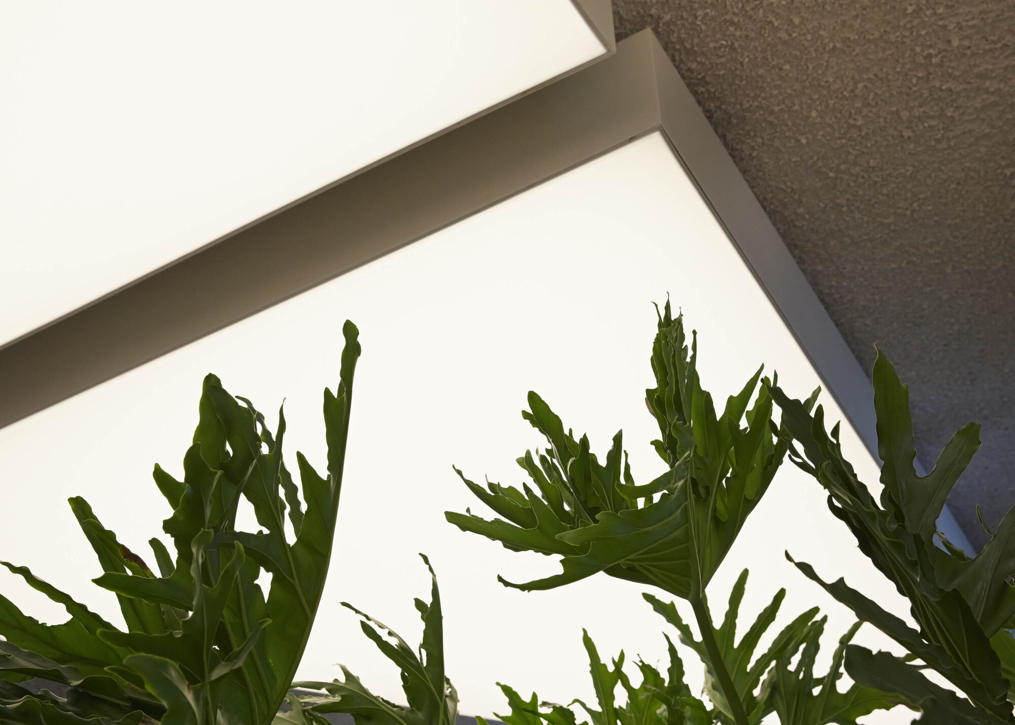 Celine IFC Casper Mueller Kneer Architects Copyright Paul Riddle V8 B4876