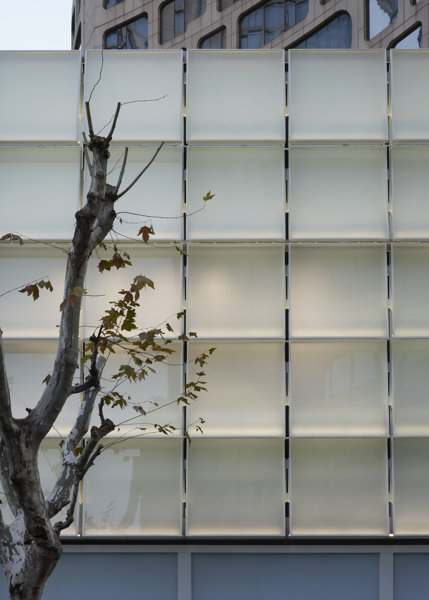 Hazzys Shanghai Casper Mueller Kneer Architects Copyright Paul Riddle 0001