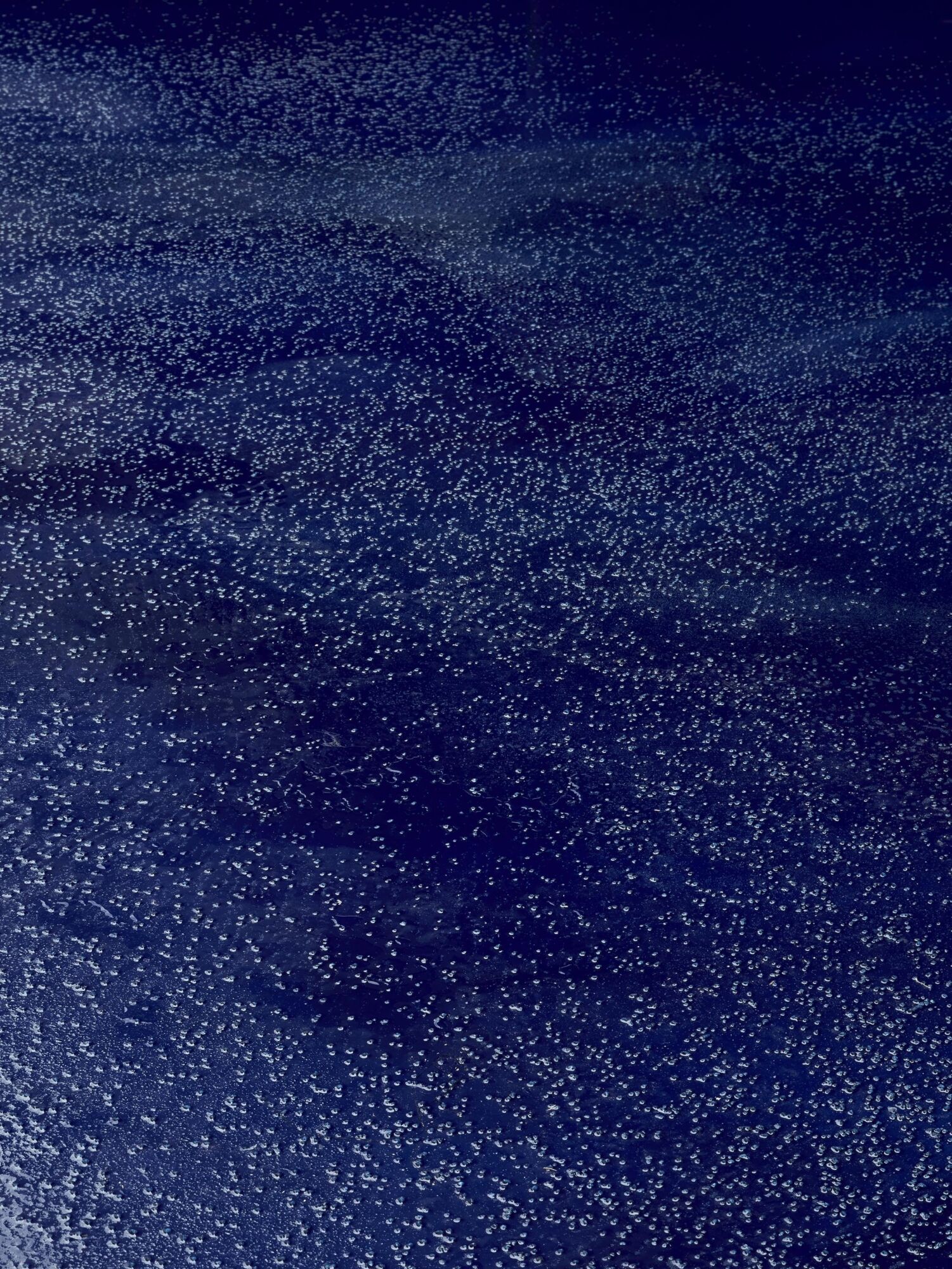 Saint Laurent Runway Show Womens Spring Summer 25 Casper Mueller Kneer Architects Copyright Paul Riddle 0008