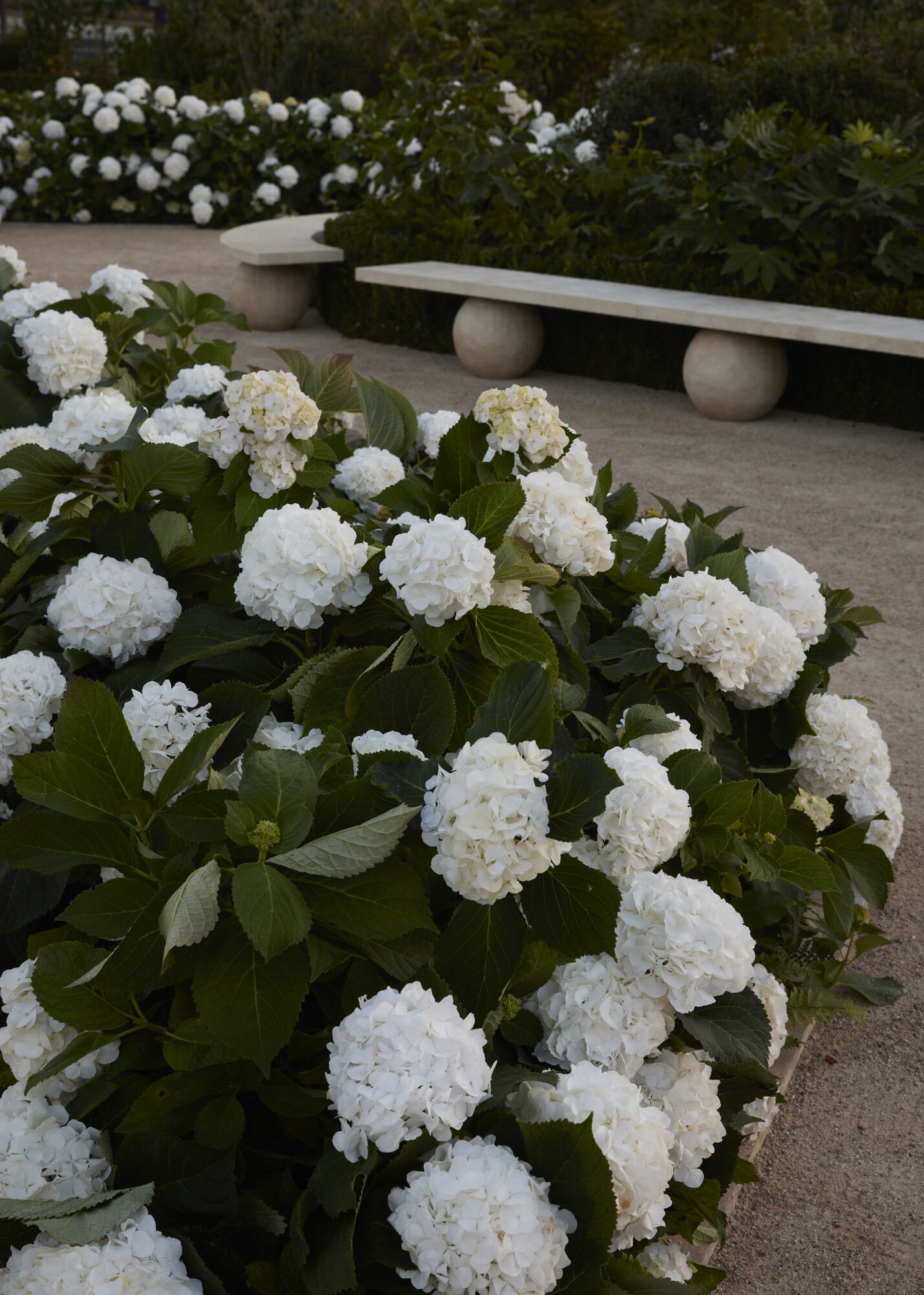 Saint Laurent Runway Show Womens Spring Summer 26 Casper Mueller Kneer Architects Copyright Paul Riddle 0008