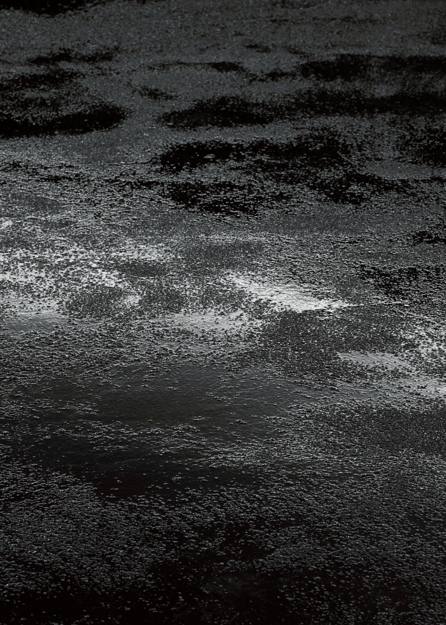 Saint Laurent Runway Show Womens Winter 24 Casper Mueller Kneer Architects Copyright Paul Riddle 89 A4828