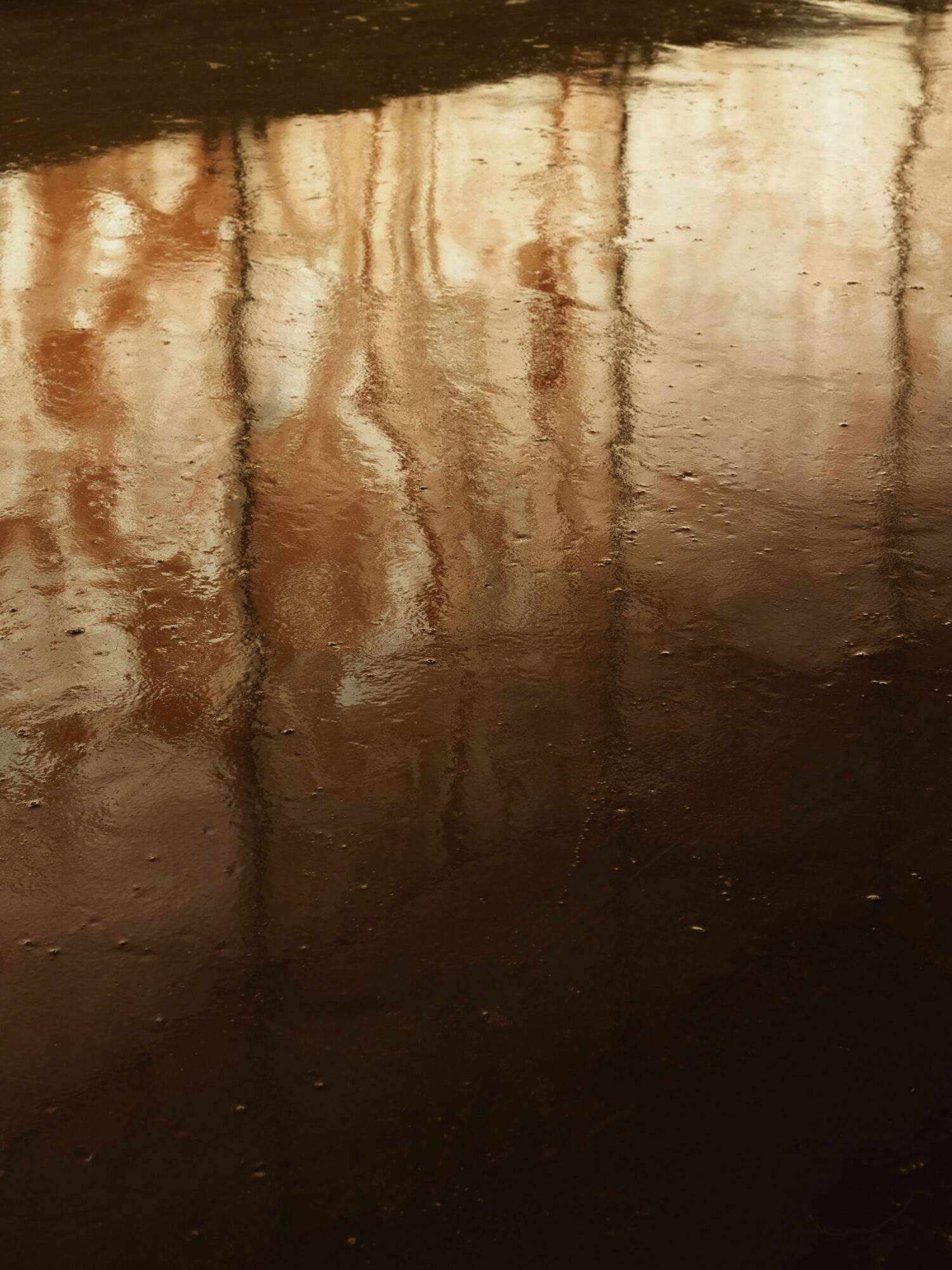 Saint Laurent Runway Show Womens Winter 25 Casper Mueller Kneer Architects Copyright Paul Riddle 10